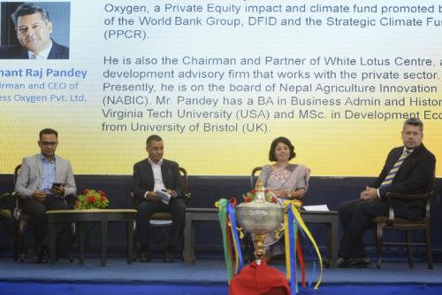 NewBiz pic of panel